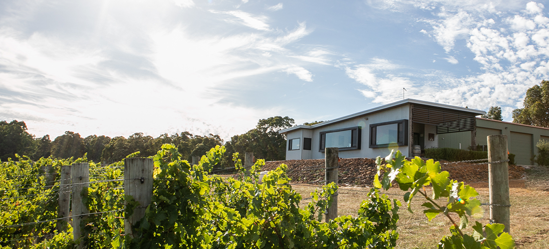 Victory Point cellar door overlooking the vines